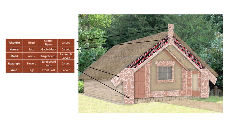 A diagram of a Maori meeting house showing the different elements and carvings with their Maori names.